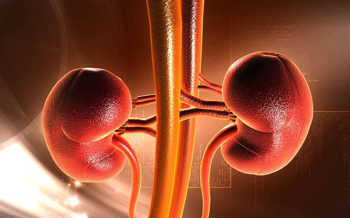 Increased blood sugar may cause kidney failure